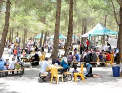 Dülük, Uzun Tatilde Vatandaş Akınına Uğradı