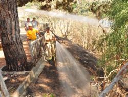 Ölüdeniz’deki Orman Yangını Korkuttu