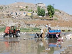 Su Olmadığı İçin Buğdaylarını Gölde Yıkıyorlar