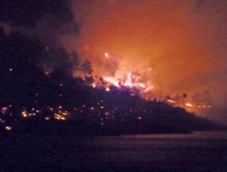 Kozan'daki Yangında 100 Hektarlık Kızılçam Zarar Gördü