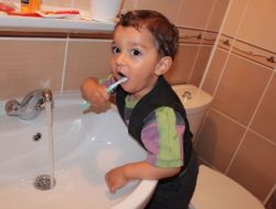 Türk İnsanı, Yılda Bir Kez Diş Fırçası Değiştiriyor