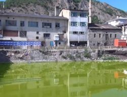 Kurbağalı Göl'den Yayılan Kötü Koku Halkı Rahatsız Ediyor