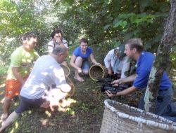 Amerikalı Gazeteciler, Fındığın Belgeselini Çekti