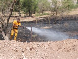 Muğla'da 3 Dönümlük Tarım Arazisi Yandı