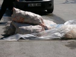 Otobüsle Koyun Tırnağı Kaçakçılığı