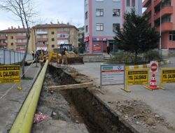 Trabzon’da Doğalgaz Kullanımı Yaygınlaşıyor