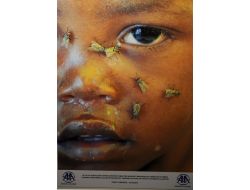 Somali Fotoğrafları Sergisini Açtılar!