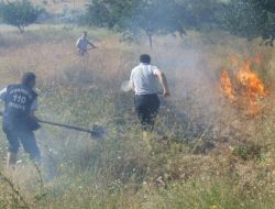 Nevşehir'de Arazi Yangınları 3 Kat Arttı