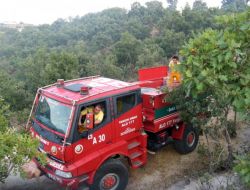 Şaphane'de Orman Yangını