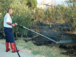 Devlet Bahçeli'nin Bahçesi Yandı