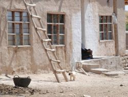 Anadolu Köylerinden Bir Tablo