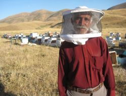 Kovanlarına Ve Kendisine Saldıran Ayıyı Öldürdü, 18 Bin Tl Ceza Aldı