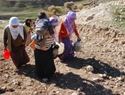 Muş’ta 6 Köyde Su Sıkıntısı Yaşanıyor