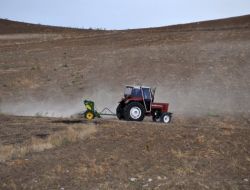 Başkan Açıkgöz: Hububat Ekimi Ekim Ayının Sonlarına Doğru Yapılmalı