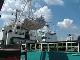 TSK'nın eşlik ettiği yardım gemileri