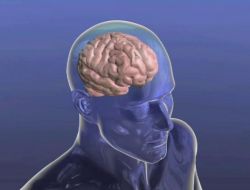 Alzheimer Ve Şizofreni Tedavisinde Çığır Açan Gelişme