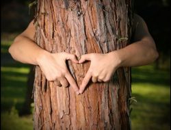 Tema Vakfı Gönüllü Sayısı 19 Yılda 430 Bini Aştı