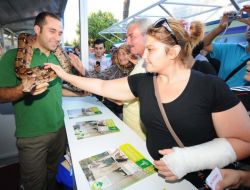 İef'deki Belediye Sokağı'nda En Büyük İlgiyi Boa Yılanı Çekiyor