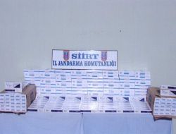 Baykan'da Yabancı Uyruklu 29 Kişi Yakalandı