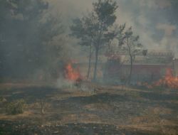 Fındıklıkta Çıkan Yangının Ormana Sıçramaması İçin Seferber Oldular