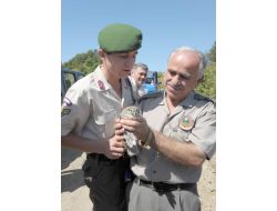 Çalılara Takılı Halde Bulunan Baykuş, Doğaya Salındı