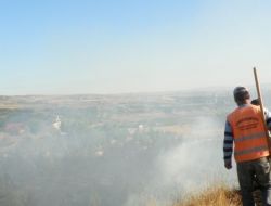 Çorum'da 20 Dönümlük Karaçam Ormanı Yandı