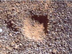 MAYIN ÇUKURU BULUNDU