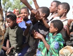 Silahların Gölgesinde Açlık Mücadelesi