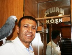 Başına Ödül Konulan Papağan Bulundu