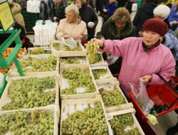 Rusya 210 Ton Meyveyi Türkiye’ye Geri Gönderdi
