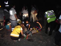 Köpeğe Çarpmamak İsterken Köprüden Uçtu