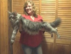 Guinness’e Giren Yeni Dünya Rekorları