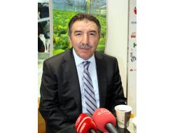 Türkiye’de Yeterince Hayvan Var, Kurbanlık Fiyatları Artmayacak