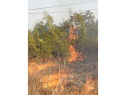 Eylül Ayındaki 17 Yangında 33 Hektar Orman Alanı Kül Oldu