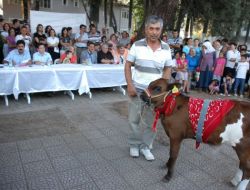 2. Ula Kültür Ve Sanat Festivali Başladı