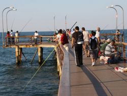 Olta Balıkçılarının İskelede Balık Tutma Keyfi