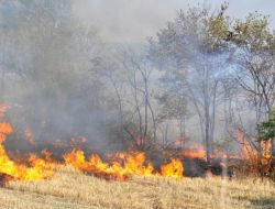 Botaş’ın Ana Vanasına Yaklaşan Anız Yangını Korkuttu