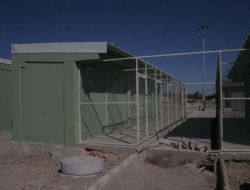 Afyonkarahisar’da 3 Yılda Bin 500 Köpek Kısırlaştırıldı