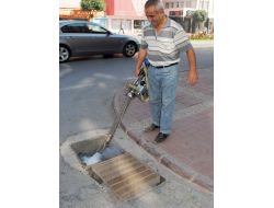 Manavgat'ta Sivrisinekle Mücadele İçin Her Gün İlaçlama Yapılıyor