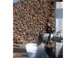 PANCAR İŞLENMEYE BAŞLADI