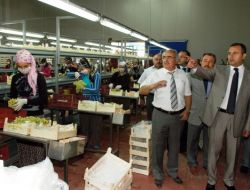 Denizli Valisi Demir İncelemelerde Bulundu