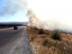 Vali Şentürk: Anız Yakmak Doğal Dengeyi Bozar, Verimi Düşürür
