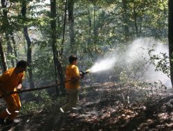 Zonguldak'ta 1 Hektar Ormanlık Alan Yandı