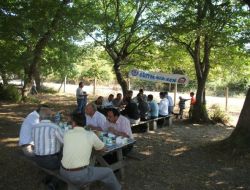 Eğitim Bir- Sen Sinop Şubesi Piknikte Bir Araya Geldi