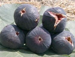 Ziraat Odası Başkanından Fiyat Tepkisi