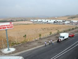 Ege Ve Marmara Bölgelerinin En Büyük Hayvan Pazarı Balıkesir'de Açıldı