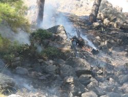 Fethiye’deki Yangında Bir Dekar Orman Arazisi Yandı
