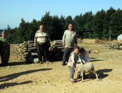 Ormanla Bütünleşen Hayatlar 'Tahtacılar'