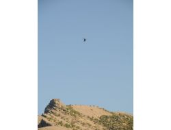 Komando Birlikleri Tunceli Bölgesini Ablukaya Aldı