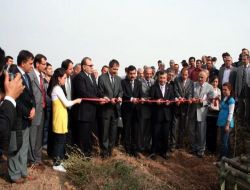 Konya'da Organik Patetes Hasat Şenliği Düzenlendi
